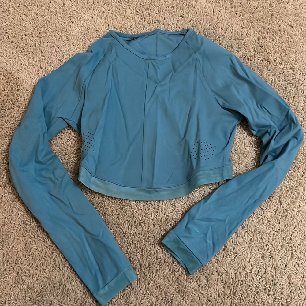 Whitney Simmons crop top